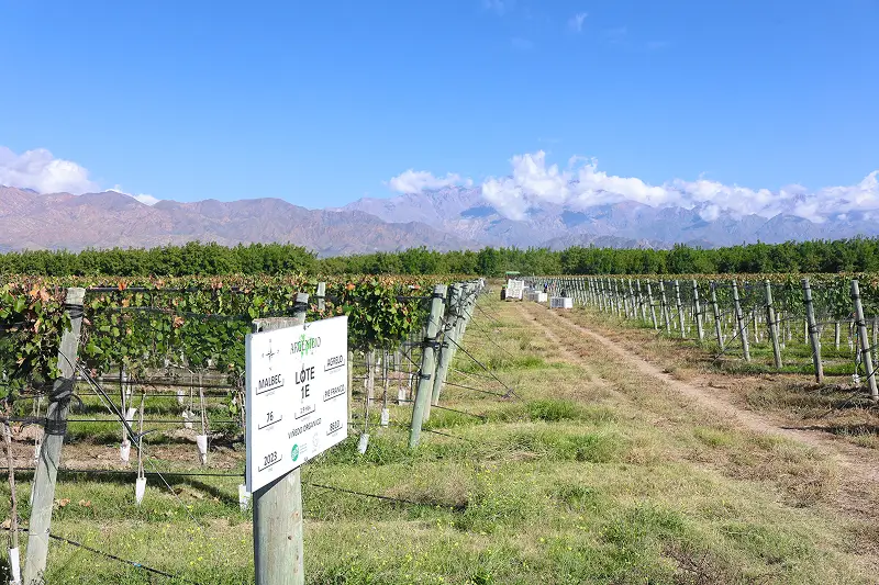 Nuestra finca