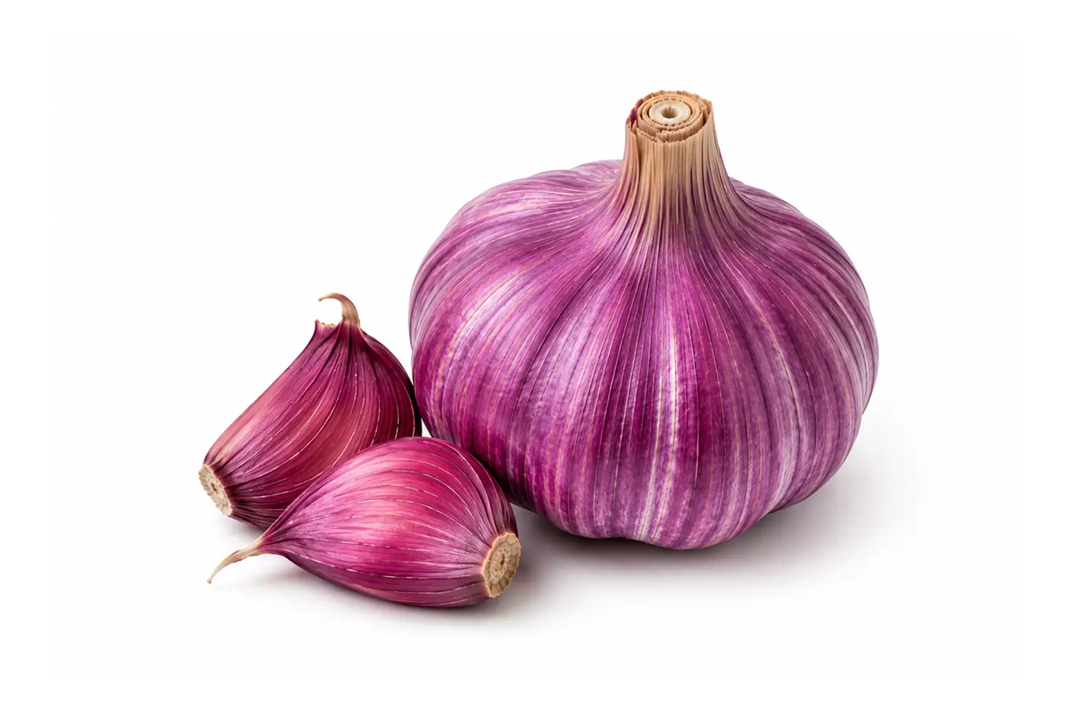 Morado