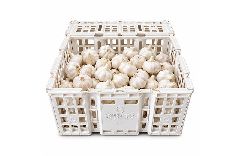 Cajas plásticas x 10 kg